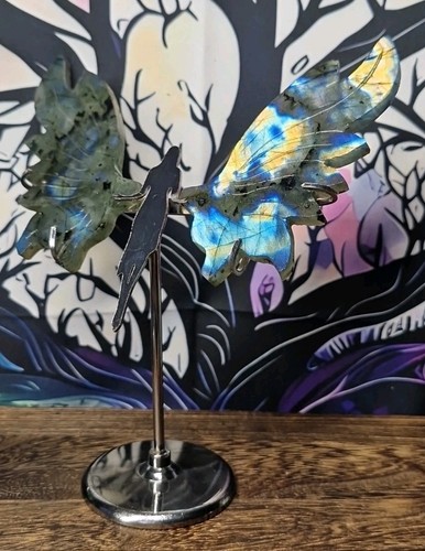 Labradorite crystal winged - crystal,