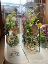 One Large Fresh Praying Mantis