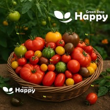 Tomato Mix - 100 Seeds -