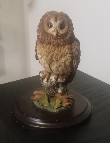 Country artists tawny owl - artists,