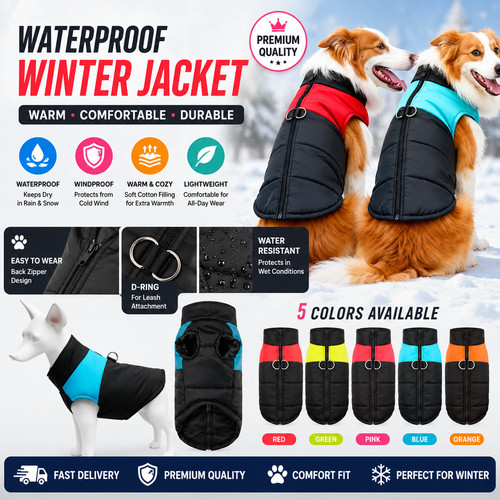 Pet vest jacket - pet, dog