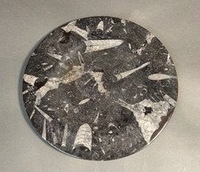 Orthoceras Stone Platter Polished Grey Large 29.5 cm RGT/UJ