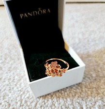 NEW Discontinued Pandora Rose