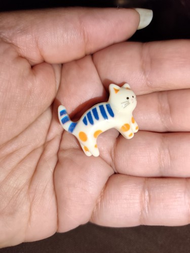 Small blue white - white, cat