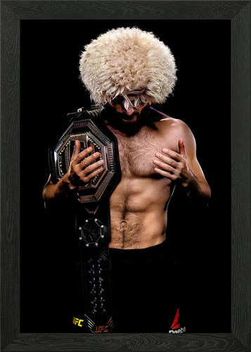Ufc champion framed - framed, art
