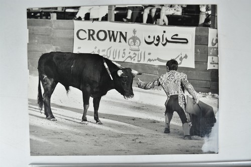 Bullfight spanish novillero - bullfight,