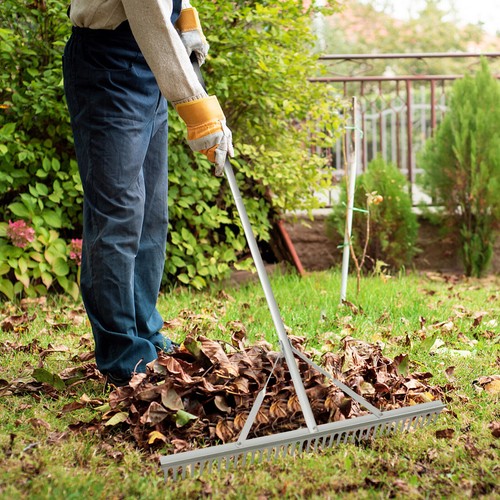 Landscape rake heavy - landscape,