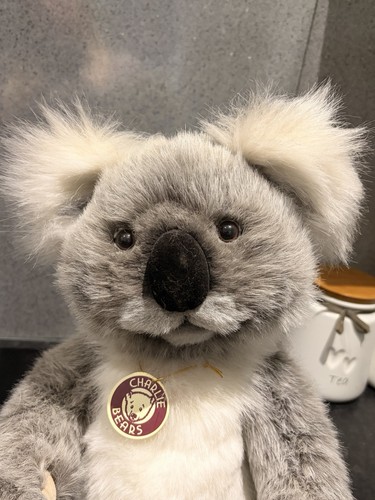 Charlie bears kennett - charlie,