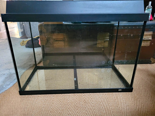 Fish tank aquarium and - aquarium, full