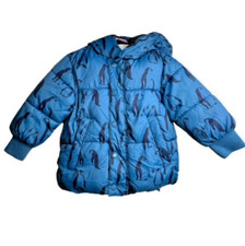 Zara BabyBoy Jacket with