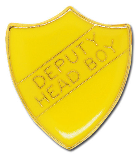 Deputy head boy pin - head,