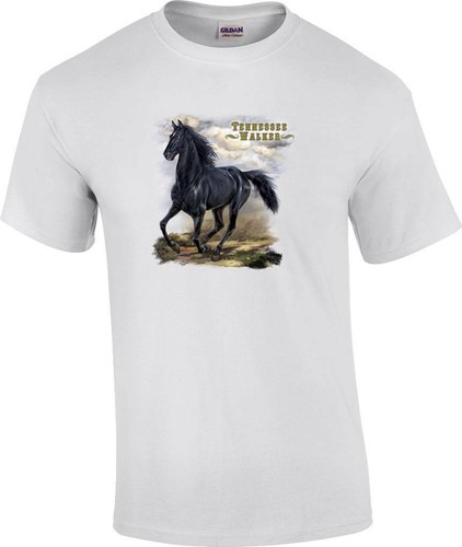 Tennessee walker walking horse - walking,