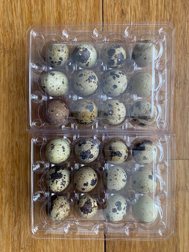 Quail eggs - quail,
