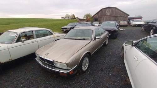 1993 1994 jaguar xj12 - jaguar, ,