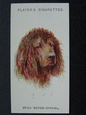 No.35 IRISH WATER SPANIEL - Dogs (Heads) A. Wardle by John Player 1929