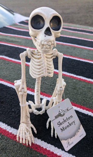 Posable monkey skeleton new - monkey,