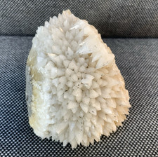 Rare Fossil Nautilus Calcite