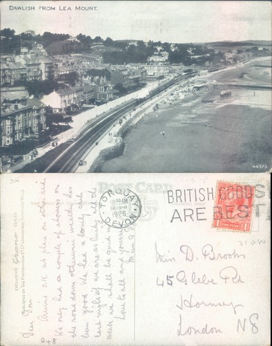 Dawlish from lea mount - dawlish,