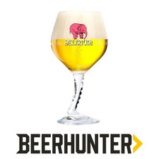 Delirium 50cl Beer Glass –