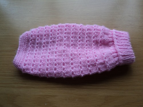 Hand knitted dog cat puppy - hand,