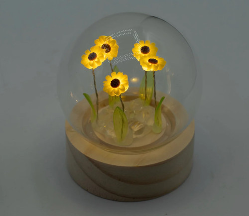 001 floral glow - #001, garden