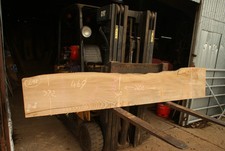 Elm Slab, Kiln Dried 2600 L x