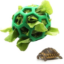 Interactive Tortoise Feeder