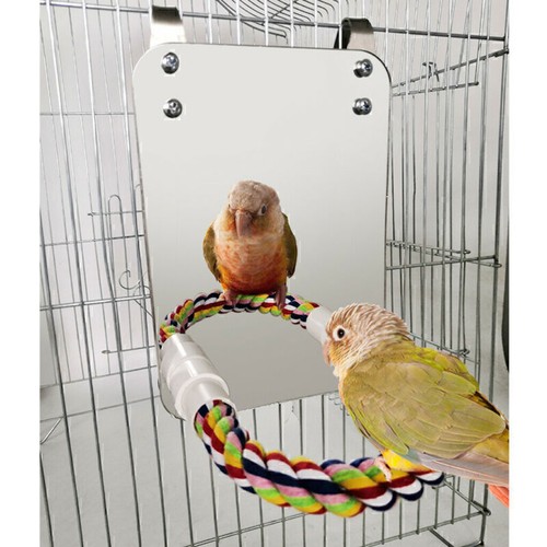 Bird mirror with perch - mirror,
