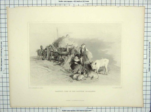 Old antique print harvest time - print,
