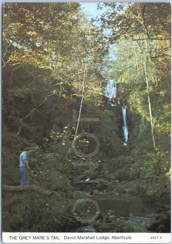 Waterfall lodge stirling - waterfall,