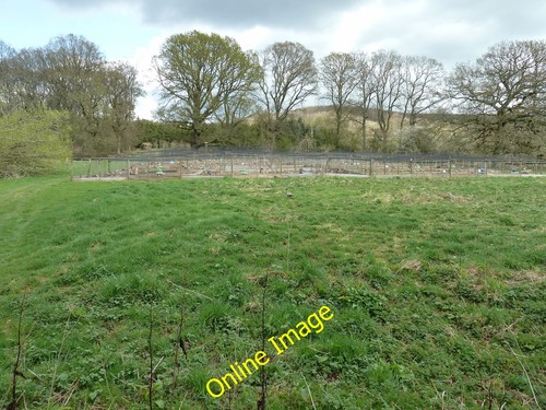 Photo 6x4 pheasant pens - 6x4,