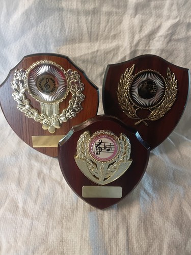 Not engraved wooden trophy - engraved,