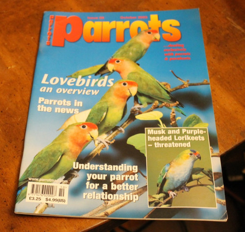 Parrots october 2003 - ~, ~