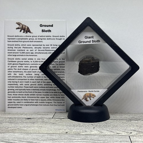Giant ground sloth - ground,
