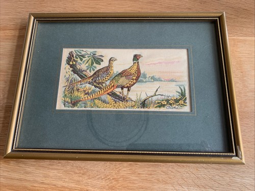Cash coventry silk woven - cash's,