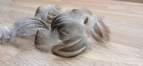 Duck feathers craft - 40,