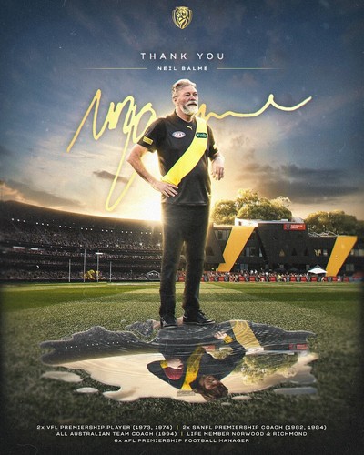 Richmond tigers afl champion - richmond,