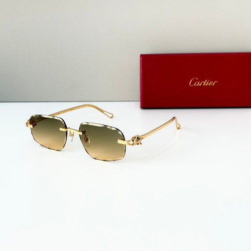 Cartier ct7072s gold temple - gold,