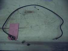 GENUINE PETTER AVA PH (AJE55)