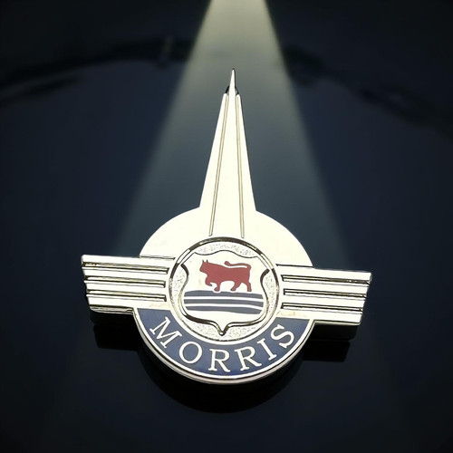 Morris pin badge - pin,