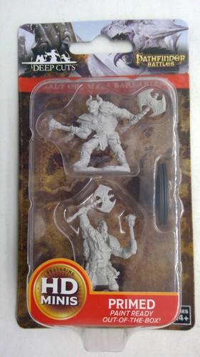 Pathfinder battles miniature - pathfinder,