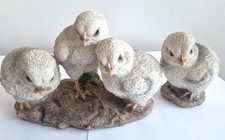 Cute Trio of Chicks by Vivid