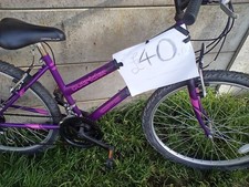 Ladies Womens Girls Apollo