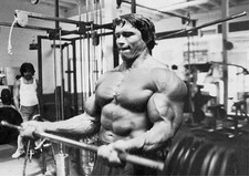 Arnold Schwarzenegger Arnie