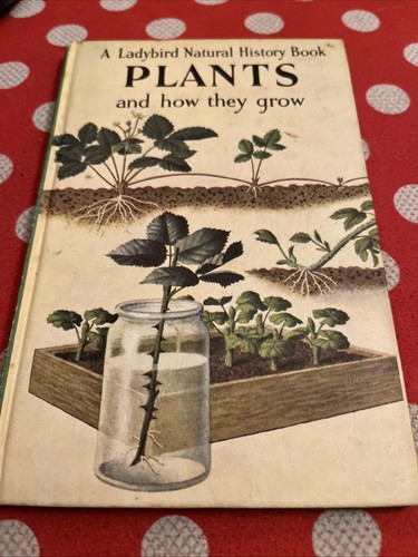 Vintage ladybird book - book, plants