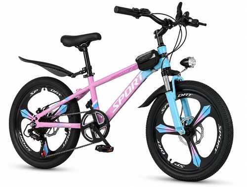 Kids mountain bike - 22",