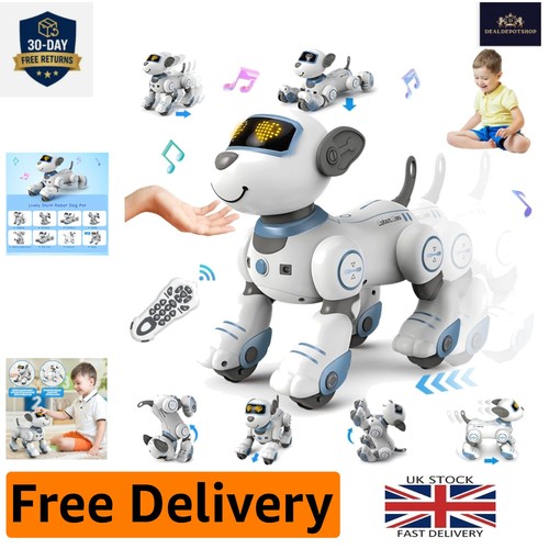 Programmable interactive robot - interactive,