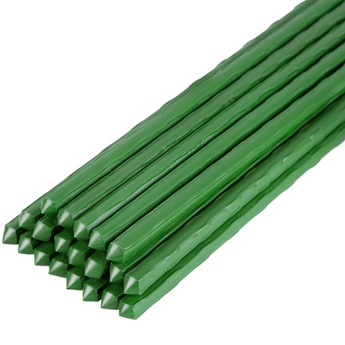 Hydroponics garden plant - hydroponics,