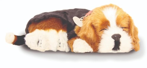 Precious petzzz breathing - petzzz,