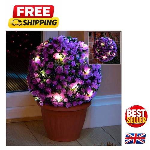 Elegant piece purple topiary - elegant,